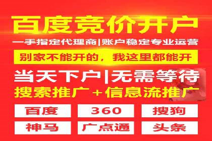 搜索引擎营销（SEM）的未来趋势与案例分析